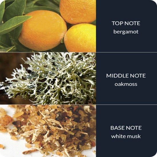 Heart and Home Reed Diffusers River Rock Fragrance Diffusers